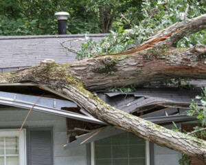house with an asphalt roof that had damage from a fallen tree