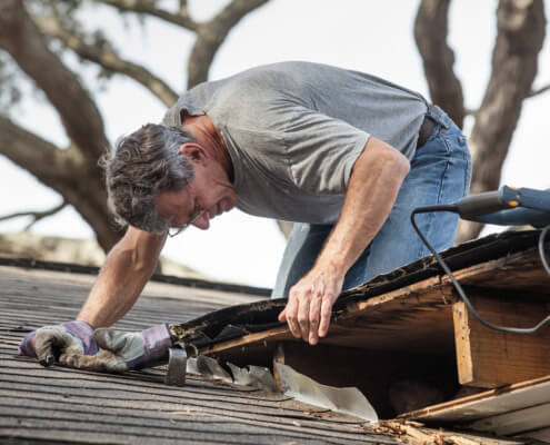 Man examining roof mold