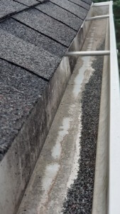 granules in gutter from asphalt shingle wear and tear
