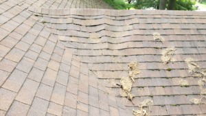 a sagging, drooping roof needing repair